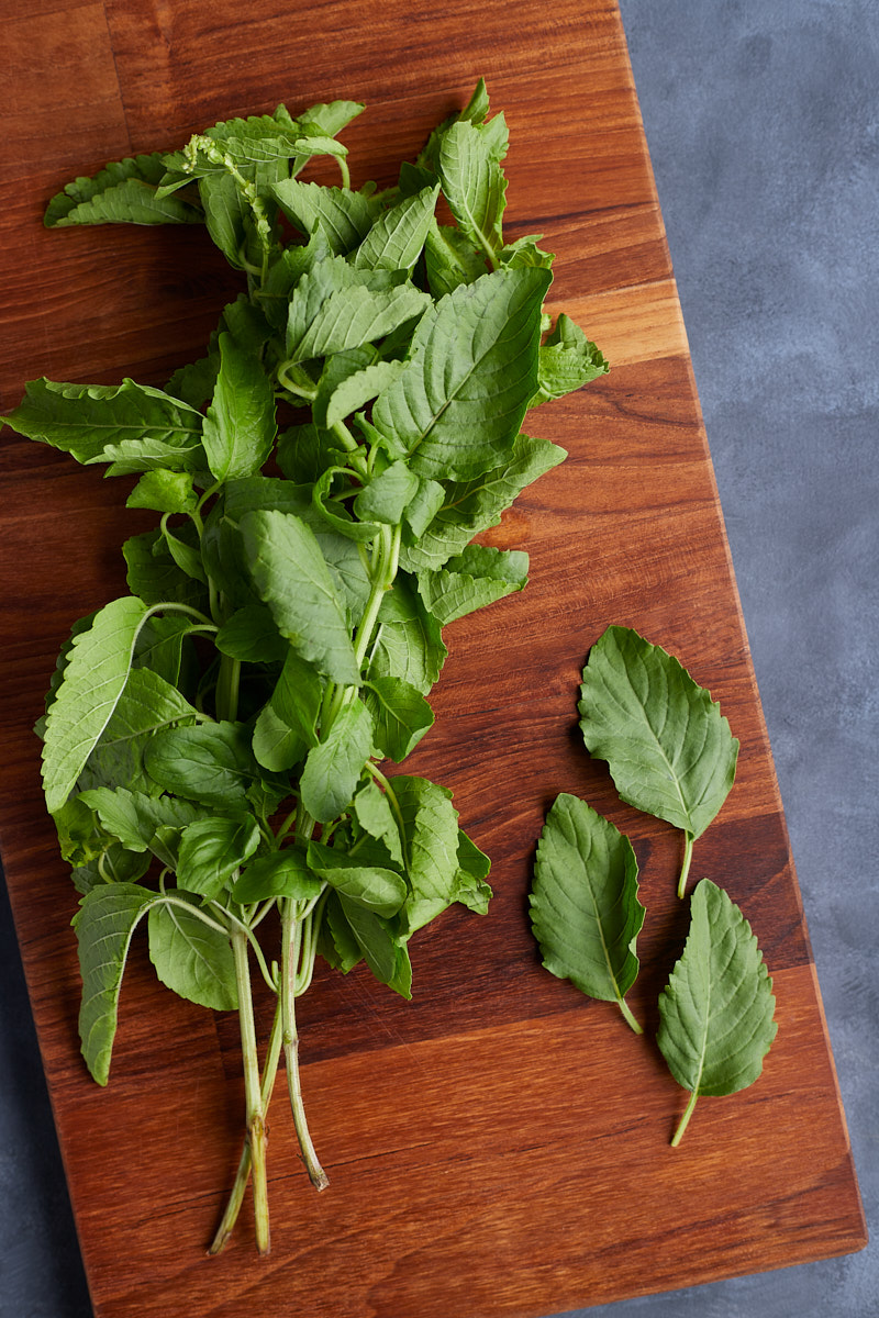 3 Useful Herbs You Can Keep Them Fresh How To