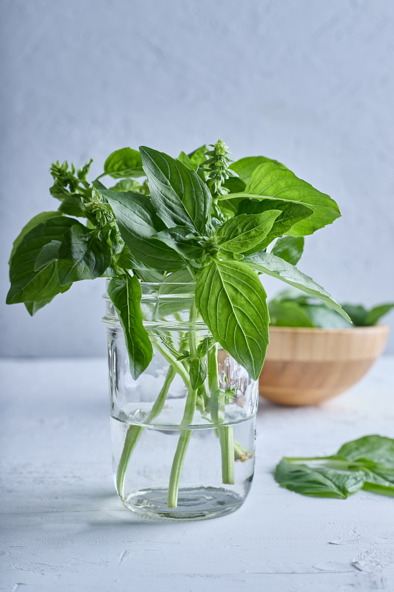 How to Store Basil so It Stays Fresh