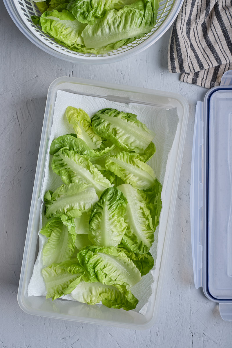 Keep Cut Lettuce Fresh