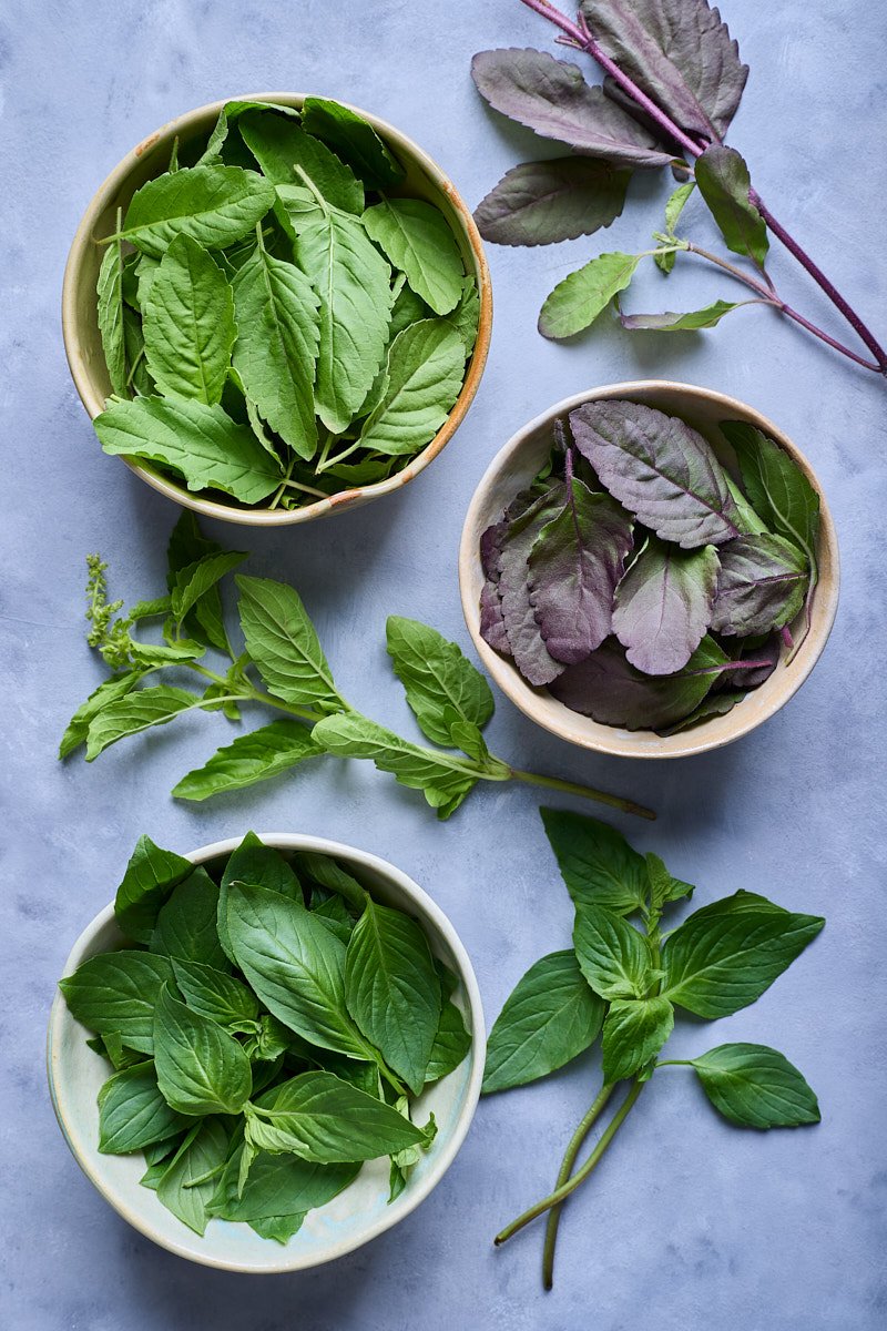 Difference between Thai basil and Thai holy basil.